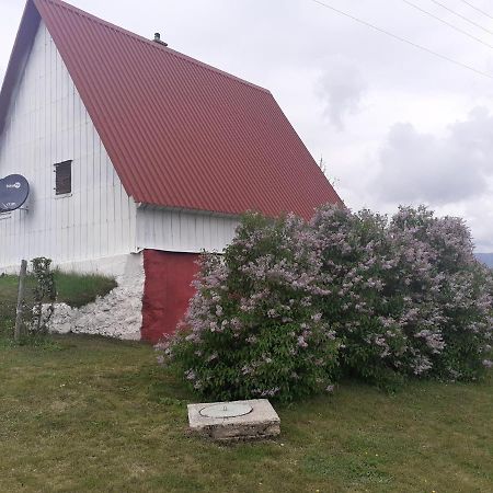 Zabljak Izdavanje Kuce Bagian luar foto