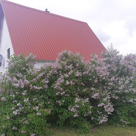 Zabljak Izdavanje Kuce Bagian luar foto