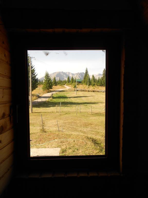Zabljak Izdavanje Kuce Bagian luar foto
